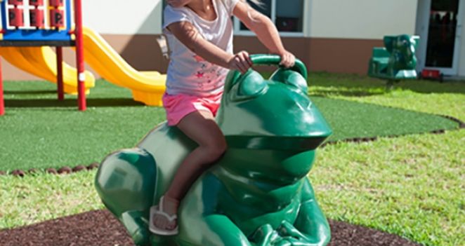 Frog Spring Rider Md