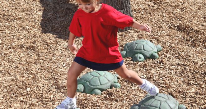 Pg 106 Stepping Turtles Lg