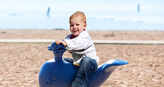 Whale Retouched Mdsquare