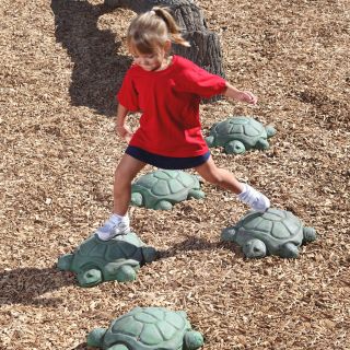 Pg 106 Stepping Turtles