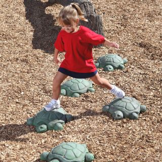 Pg 106 Stepping Turtles