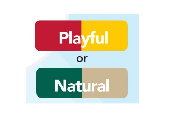 Learn A Lot Color Palette Copy