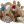 Crawl Toddle Standard Deck