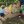 Early Play Crawl N Toddle 0123