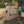 Ultra Play Early Play 0124 Md