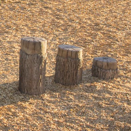 Tree Stumps (Ages 5-12)